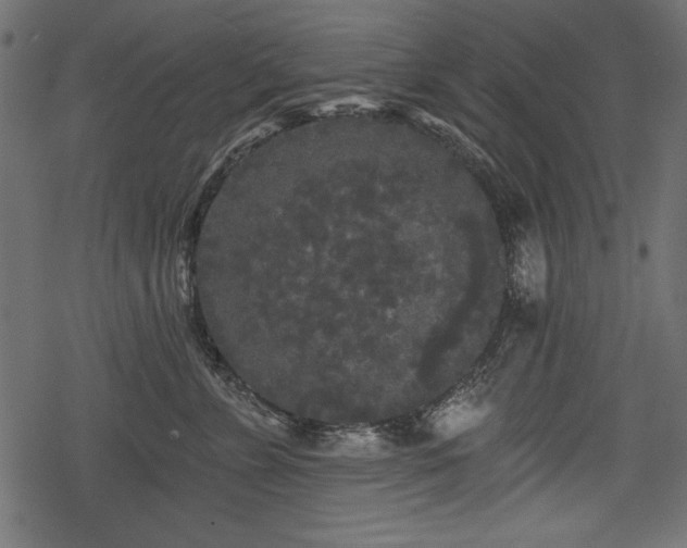 X0000078290715200611031231