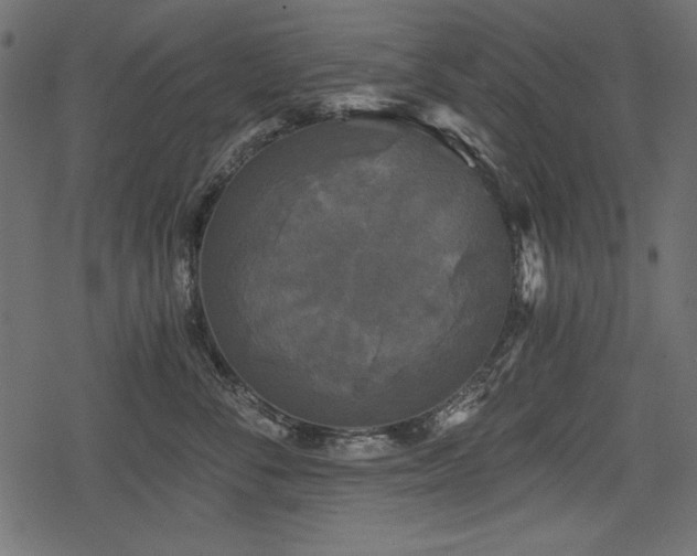 X0000078290716200611031231