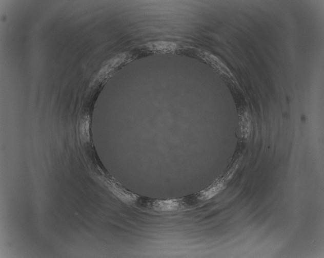 X0000078290717200611031231