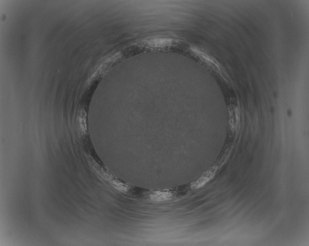 X0000078290718200611031231