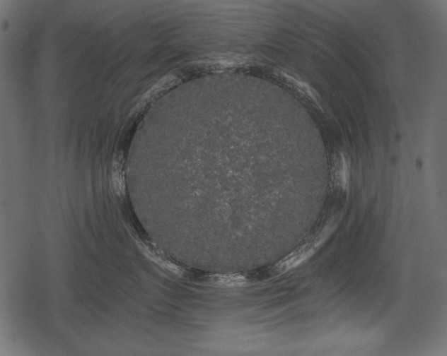 X0000078290719200611031231