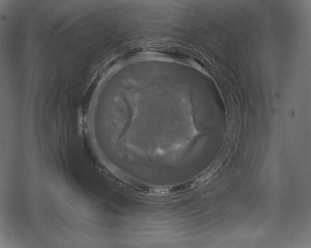 X0000078290720200611031231