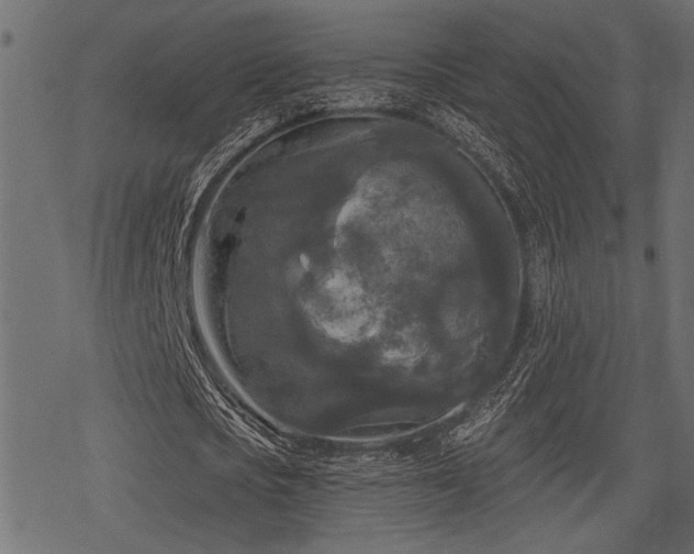 X0000078290721200611031231