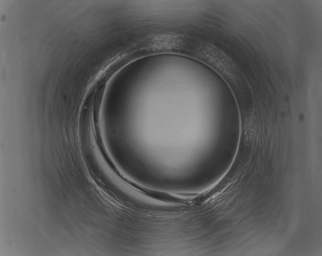 X0000078290722200611031231