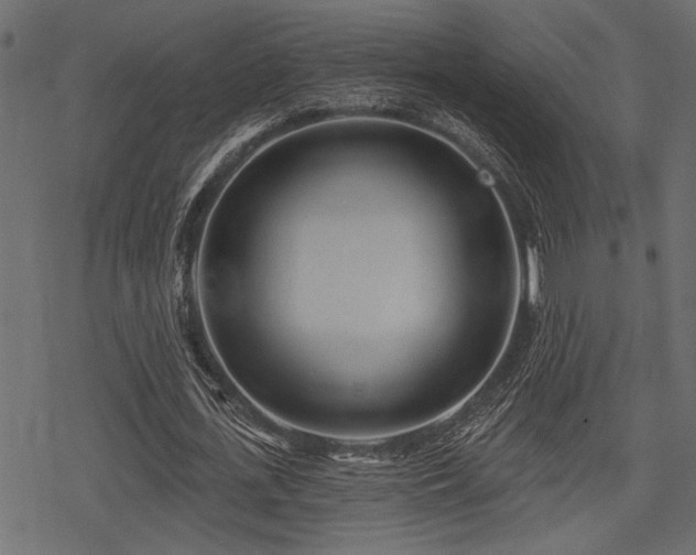 X0000078290723200611031231