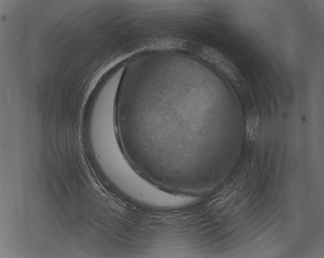 X0000078290724200611031231