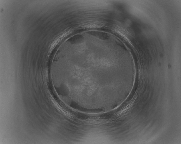 X0000078290725200611031231