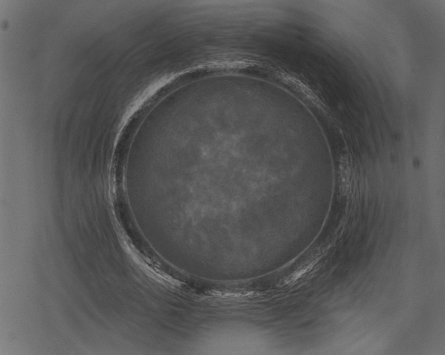 X0000078290726200611031231