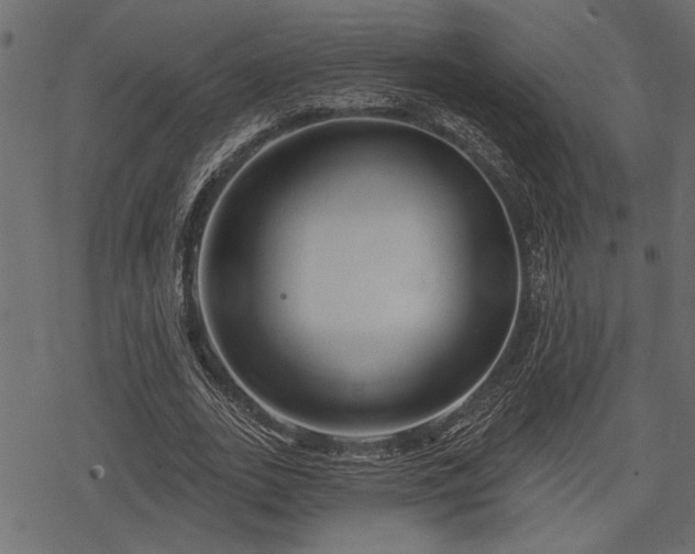 X0000078290727200611031231