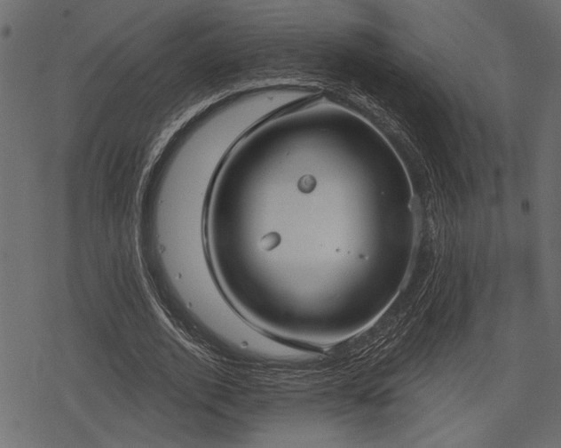 X0000078290728200611031231