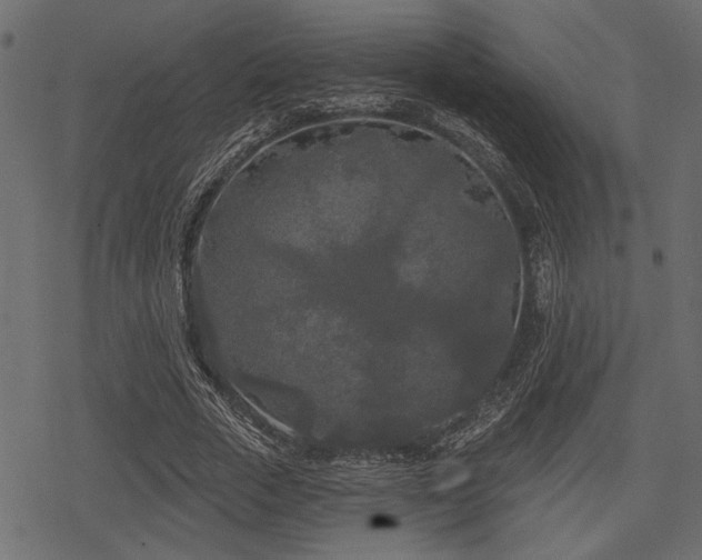 X0000078290729200611031231