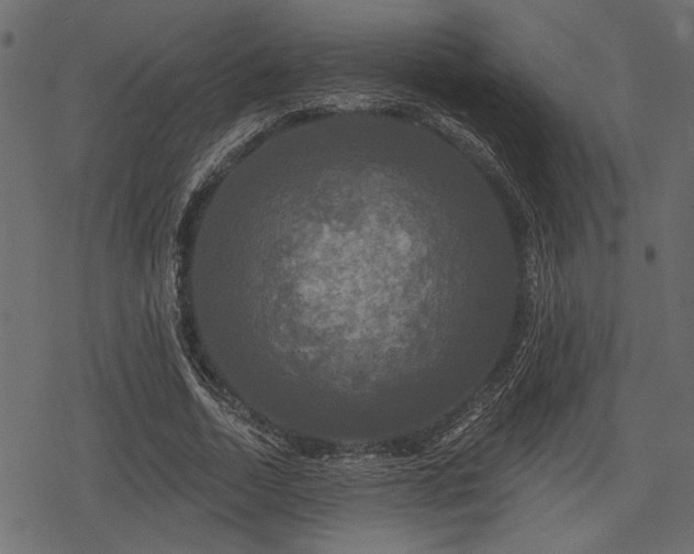 X0000078290730200611031231