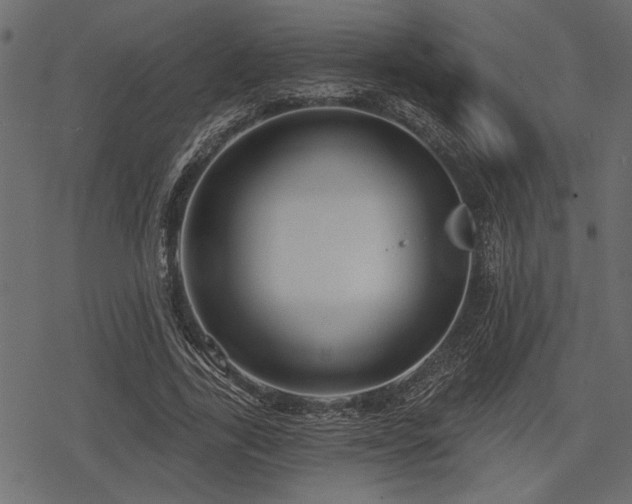 X0000078290731200611031231