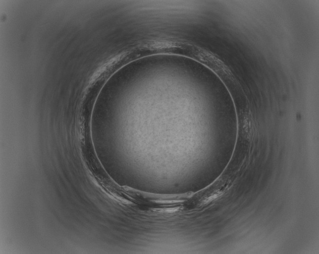 X0000078290732200611031231