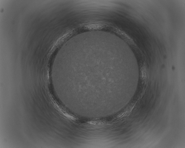 X0000078290733200611031231