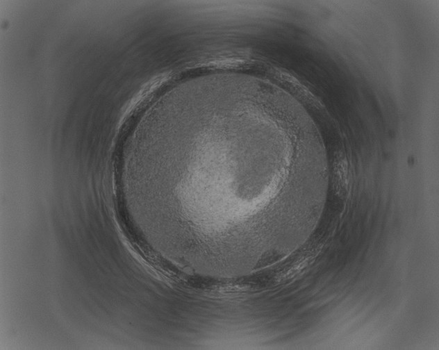 X0000078290734200611031231