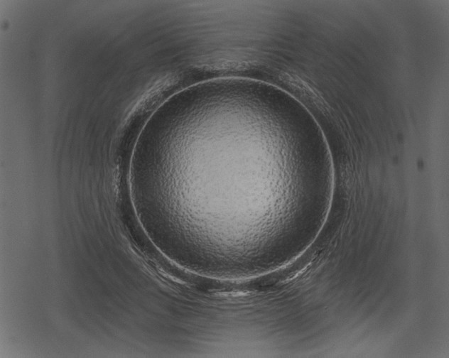 X0000078290735200611031231