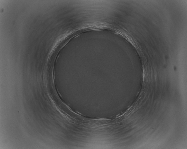 X0000078290736200611031231