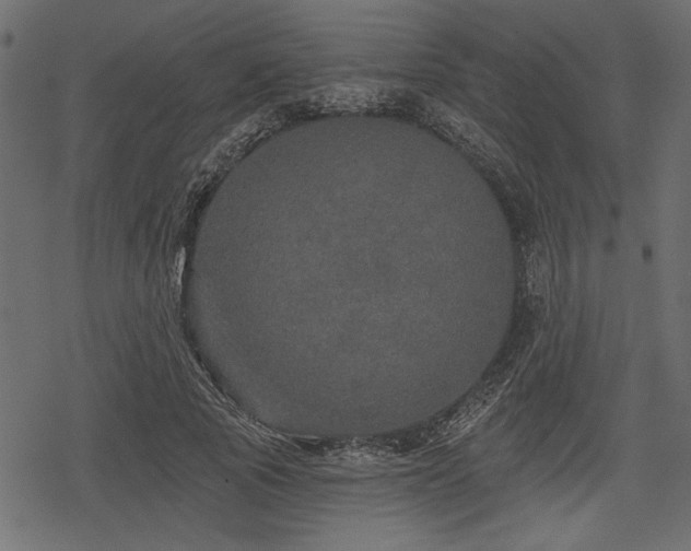 X0000078290737200611031231