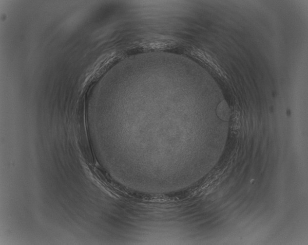 X0000078290738200611031231