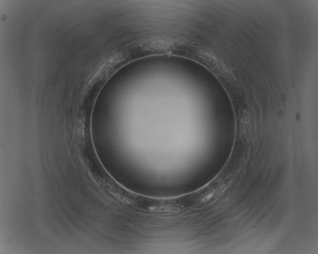 X0000078290739200611031231