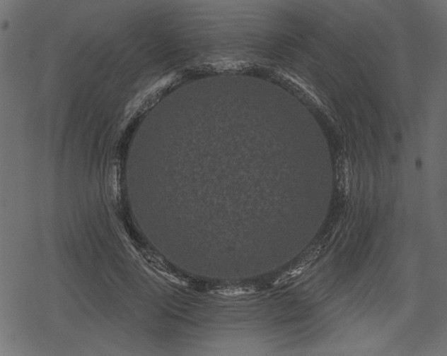 X0000078290740200611031231