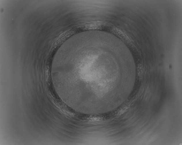 X0000078290741200611031231