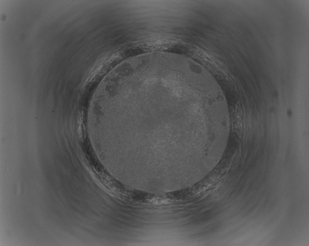 X0000078290742200611031231