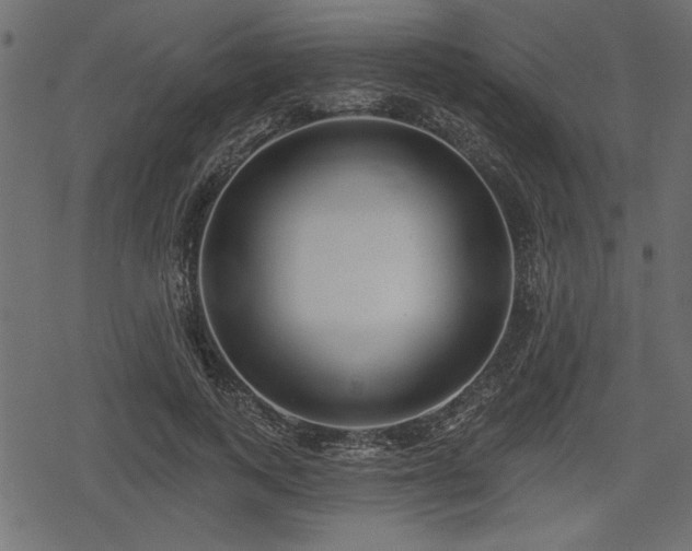 X0000078290743200611031231