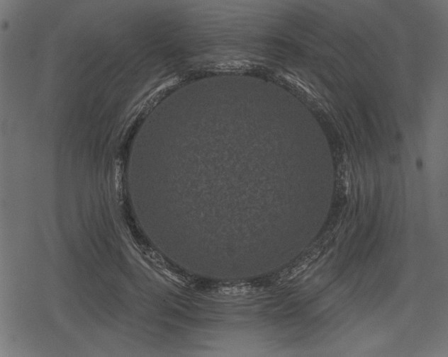 X0000078290744200611031231