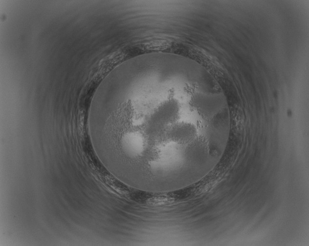 X0000078290745200611031231