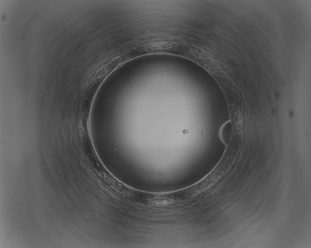 X0000078290746200611031231