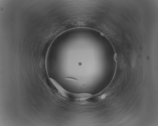 X0000078290747200611031231