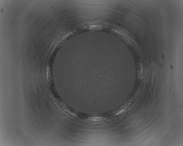 X0000078290748200611031231