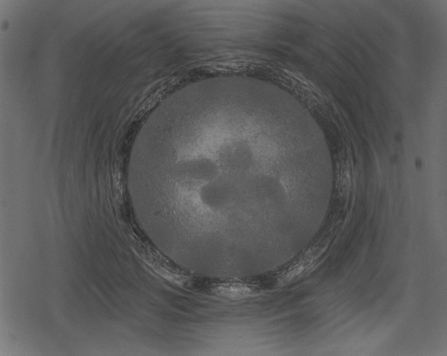 X0000078290749200611031231