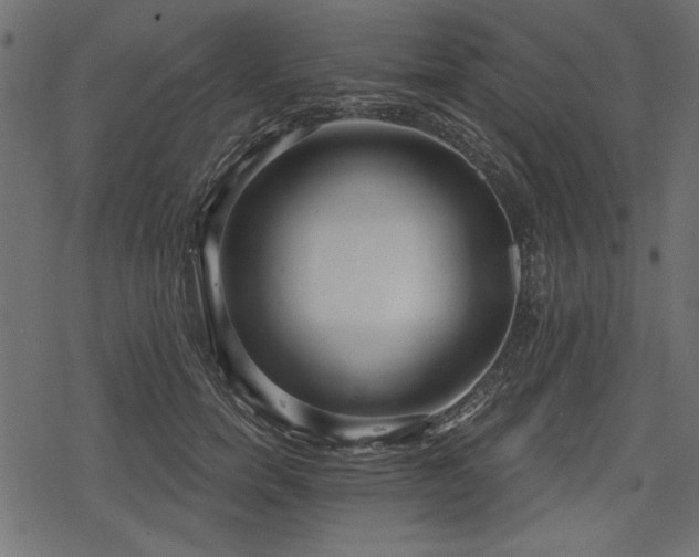 X0000078290750200611031231