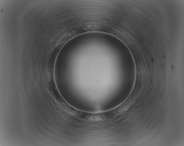 X0000078290751200611031231