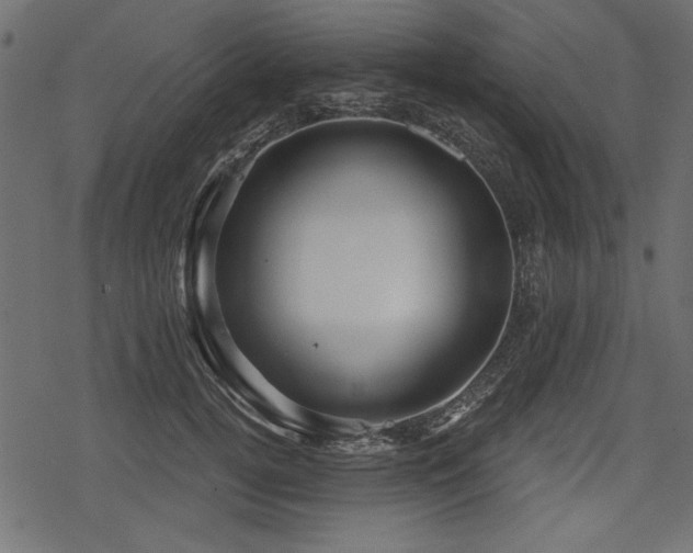 X0000078290752200611031231