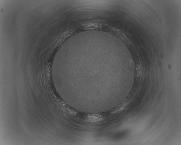 X0000078290753200611031231