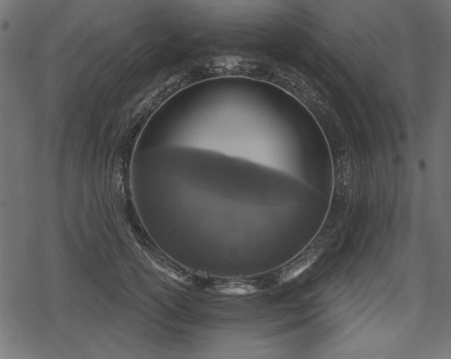 X0000078290754200611031231