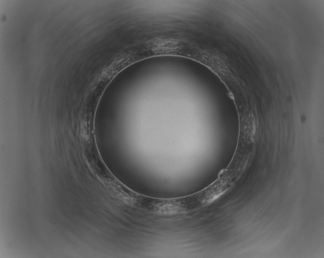 X0000078290755200611031231