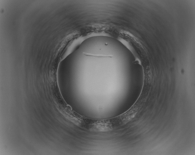 X0000078290756200611031231