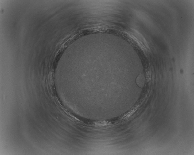 X0000078290757200611031231