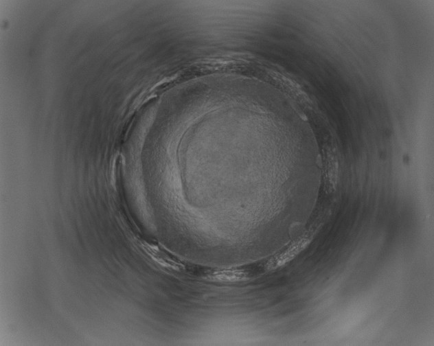 X0000078290758200611031231