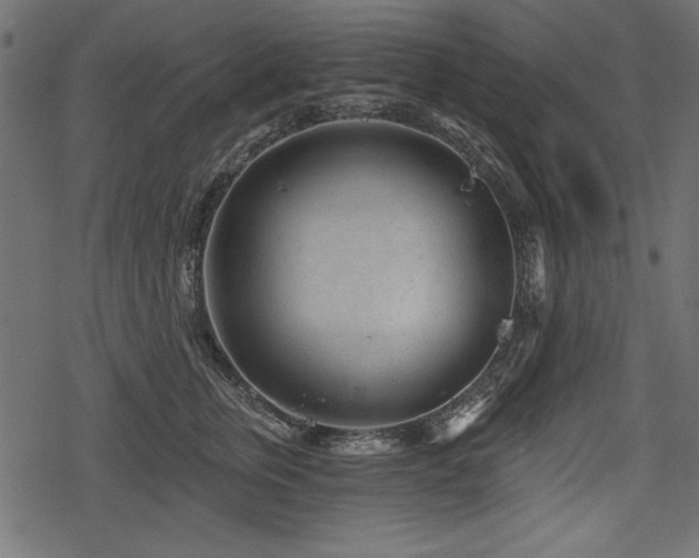 X0000078290759200611031231