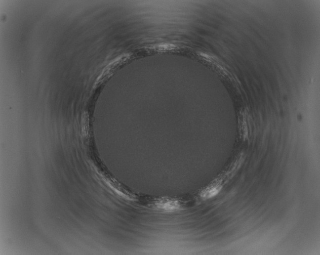 X0000078290760200611031231