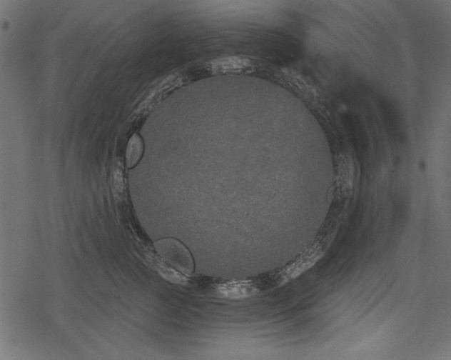 X0000078290761200611031231