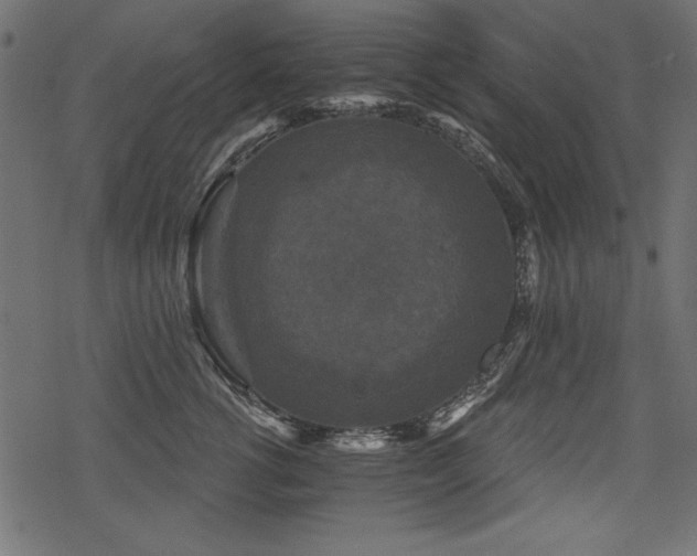 X0000078290762200611031231