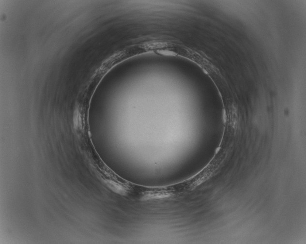 X0000078290763200611031231