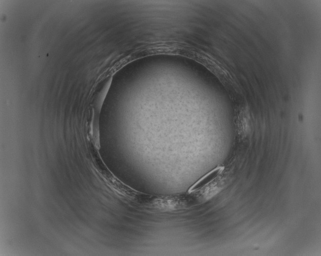 X0000078290764200611031231